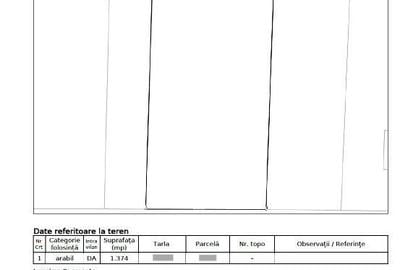 Islaz - Branesti - teren 1374mp - canalizare - gaze - curent - asfalt - 2