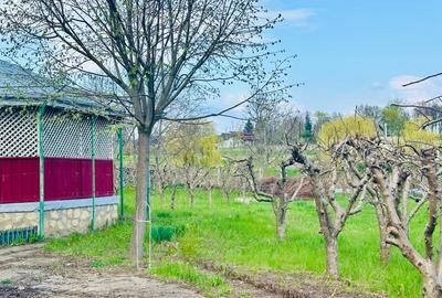 Casă individuală cu 5 camere cu Canalizare în Central - 8
