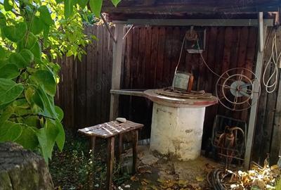 Casă cu 2 camere în Central - 1