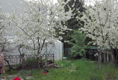 Casă cu 2 camere în Drumul Carului - 2