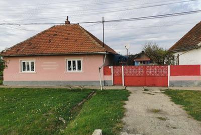 Vand Casa la Jamu Mare 1400m2 - 2