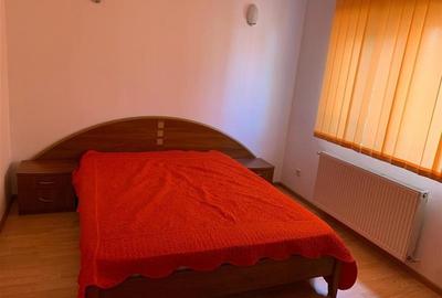 Vila  de vanzare 6 camere Iancu Nicolae cu Gradina - 12