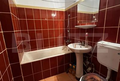 Garsonieră semidecomandată în Brazda lui Novac - 4