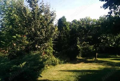 Casa Zona Centrala (Tudor Vladimirescu) - 3