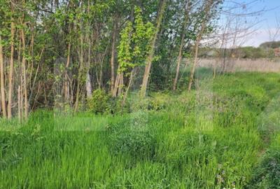 Teren de 6659 mp, în Nisipoasa - 13