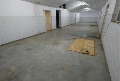 Hala de 800 mp cu teren de 1600 mp in Ineu de Cris Bihor. - 2