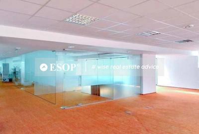 Spațiu comercial, de 258 mp, în Romană - 12