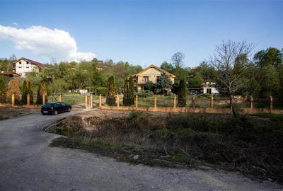 Casă cu 13 camere cu Teren 2595 Mp în Calea Caransebeșului - 8