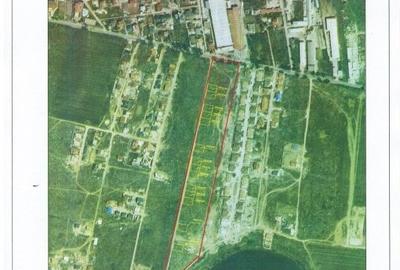 Pantelimon -Lebada, str. Băile Felix, teren intravilan 7500 mp - 1