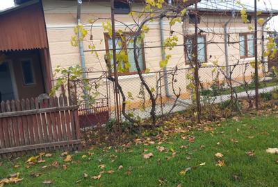 Casă de vânzare - jud. Buzău, Sat Lanurile, com. Ziduri - 4