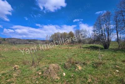 Teren de 9364 mp, în Central - 4