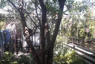 Casă cu 3 camere în Lumina - 5
