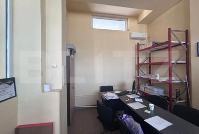 Birou, de 480 mp, în Brazda lui Novac - 7