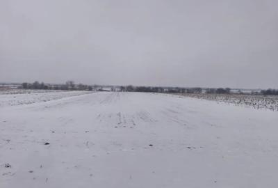 Teren de 6000 mp, în Horodnic - 2