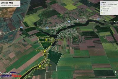 Vand padure Vitanesti jud.Teleorman Vand padure Vitanesti jud.Teleorman - 1