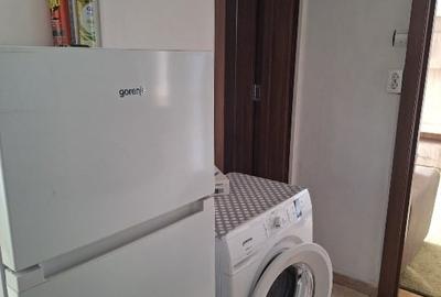 Apartament cu 2 camere nedecomandat în Iosefin - 10