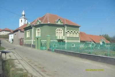 Casă cu Teren 1300 Mp în Silvașu de Sus - 4