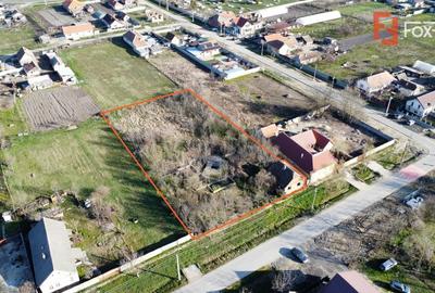 Teren Construcții intravilan de 2840 mp, în Jebel - 7