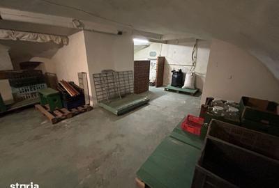 Spațiu comercial, de 274 mp, în Aradul Nou - 1