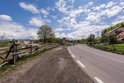 FILM! Distinctie pe arena spataculoasei naturii, Bran, Fundata FILM! Distinctie pe arena spataculoasei naturii, Bran, Fundata - 17