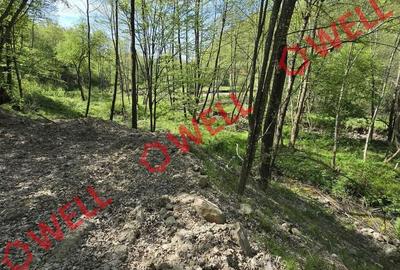 Teren de 5600 mp, în Brăduț - 10