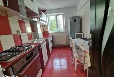 Apartament cu 2 camere semidecomandat, mobilat în Aleea Trandafirilor - 11