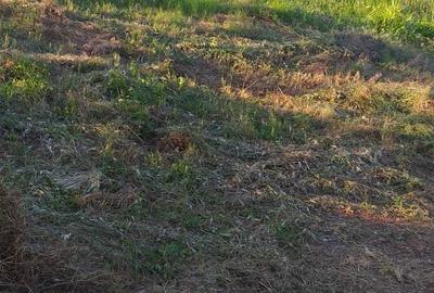 Casă cu 4 camere în Văleni