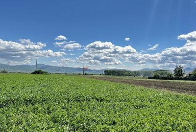 Teren intravilan Zona Metropolitana Brasov - 10