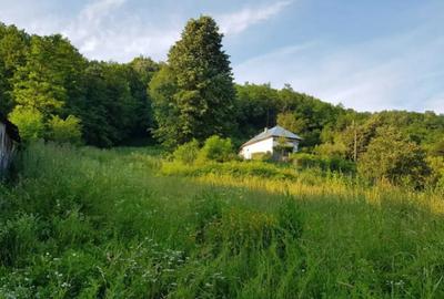 Teren de 7000 mp, în Ștubeie Tisa - 1