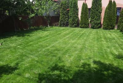 Casa Adunatii Copaceni Casa Adunatii Copaceni - 1