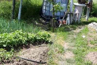 Casă cu 2 camere în Central - 2