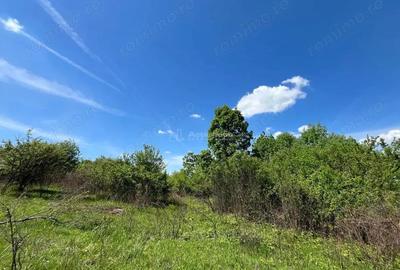 Teren de 5300 mp, în Lugoj - 3