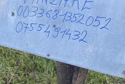 Teren de 2881 mp, în Ciuperceni - 8