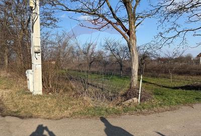 Teren Construcții intravilan de 2300 mp, în Petrești - 4