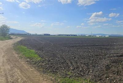 FILM! Teren intravilan, 10.000 mp, Grivitei, Brasov - 8