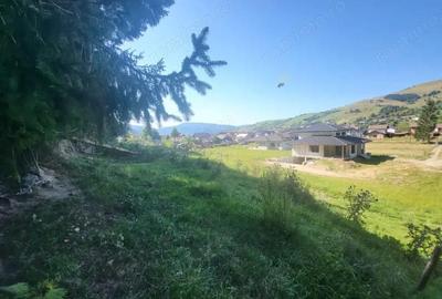 Teren de 5000 mp, în Gura Humorului - 3