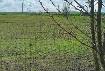 Casă cu 3 camere în Grădina - 8