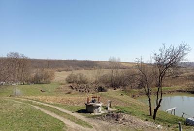 Casă cu 3 camere în Șendriceni - 1