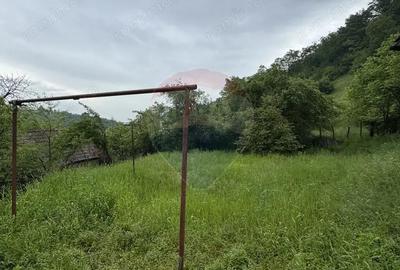 Casă cu 4 camere cu Teren 912 Mp în Sighișoara - 5