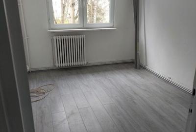Apartament cu 2 camere semidecomandat în Dosu Bricii - 3