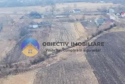 Teren de 10515 mp, în Bodești - 14