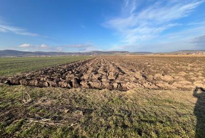 Teren agricol extravilan de 1250 mp, în Cristian - 4