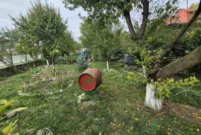 Vila 4 camere + teren 818 mp central Provita de Sus (lângă școală) - 46