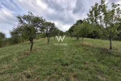 Teren agricol extravilan de 3223 mp, în Sibiel - 1