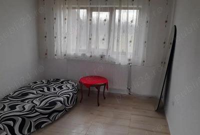 Casa de inchiriat in Seini - 6