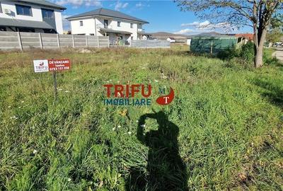 Teren Intravilan zona Orizont - 500mp - 8