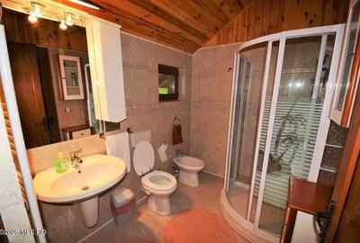 Campulung - Leresti, casa de munte, teren 5503 mp! - 3