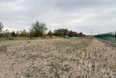 Teren 2100 mp Dumbrăveni Balotești – construibil, intim, zonă deosebită! - 3