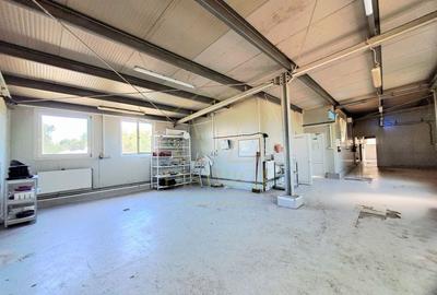 Hala de depozitare sau productie 615 mp I Mehala - 1