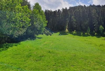 TEREN DE VANZARE INTRAVILAN - 3